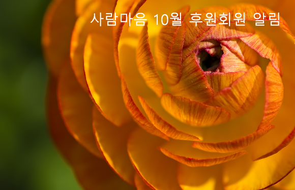 후원회원알림.PNG
